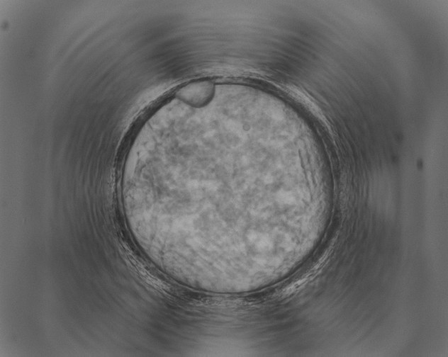 X0000087350831200705181124