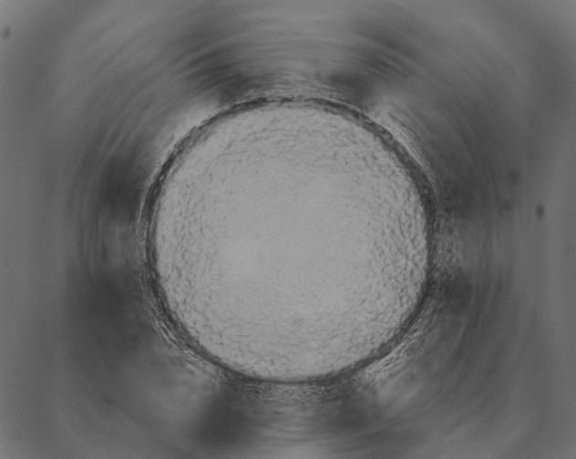 X0000087350832200705181124