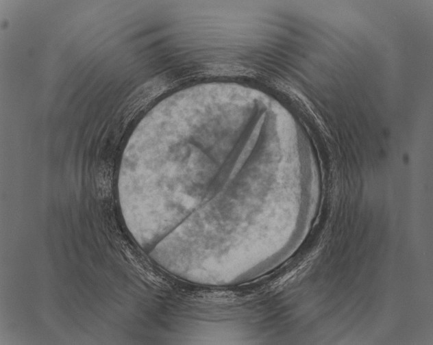 X0000087350833200705181124