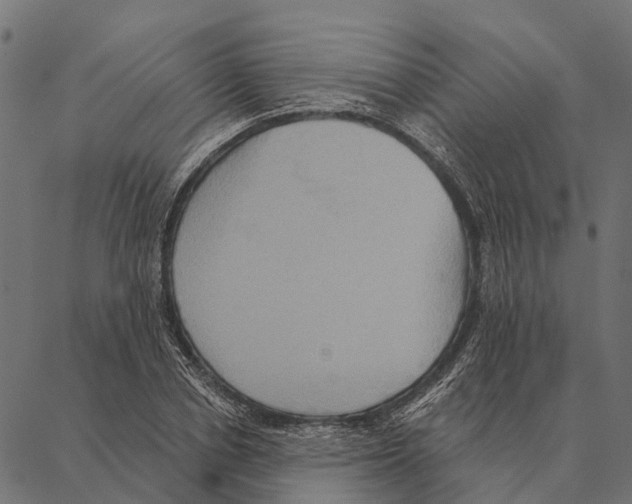 X0000087350834200705181124