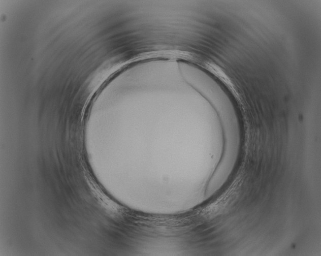 X0000087350836200705181124