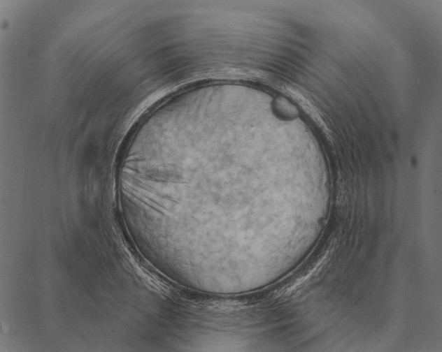 X0000087350837200705181124