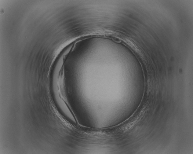 X0000087350838200705181124