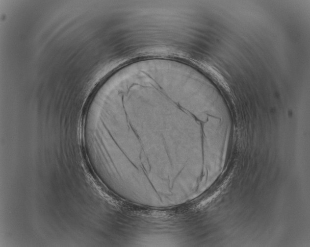 X0000087350839200705181124