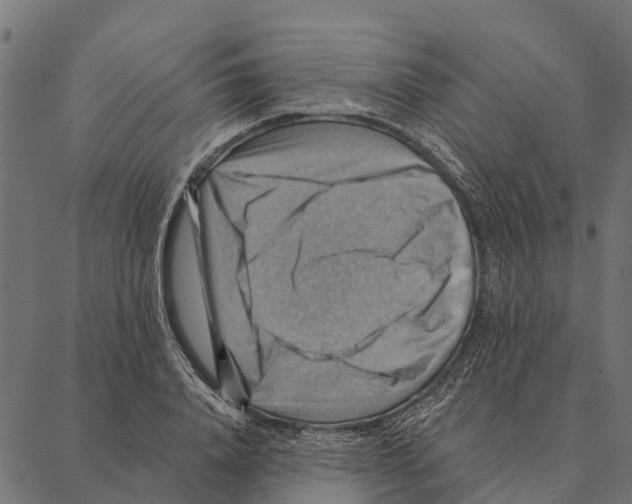 X0000087350840200705181124