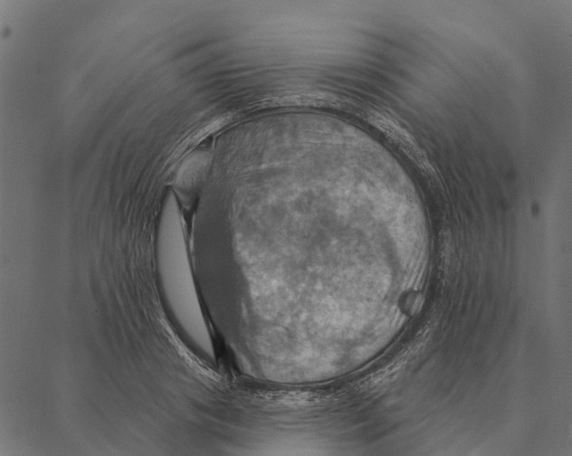 X0000087350841200705181124