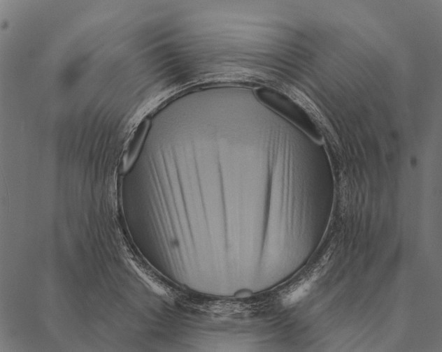 X0000087350842200705181124