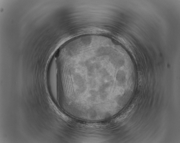 X0000087350843200705181124