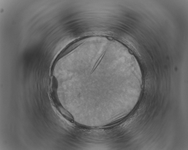 X0000087350844200705181124