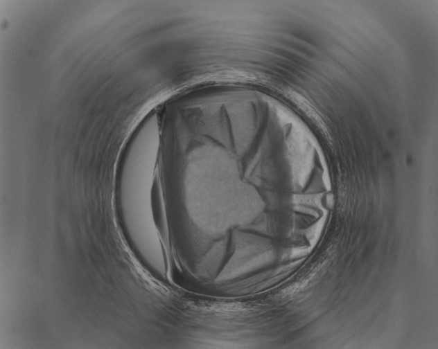 X0000087350845200705181124