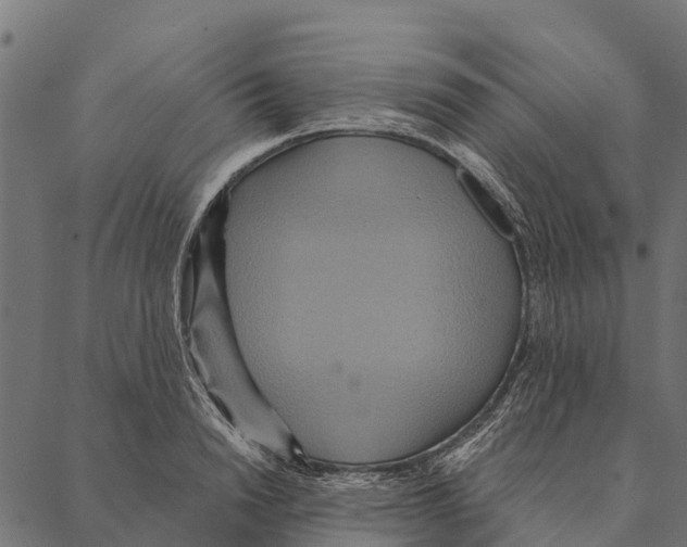 X0000087350846200705181124