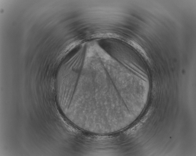 X0000087350849200705181124