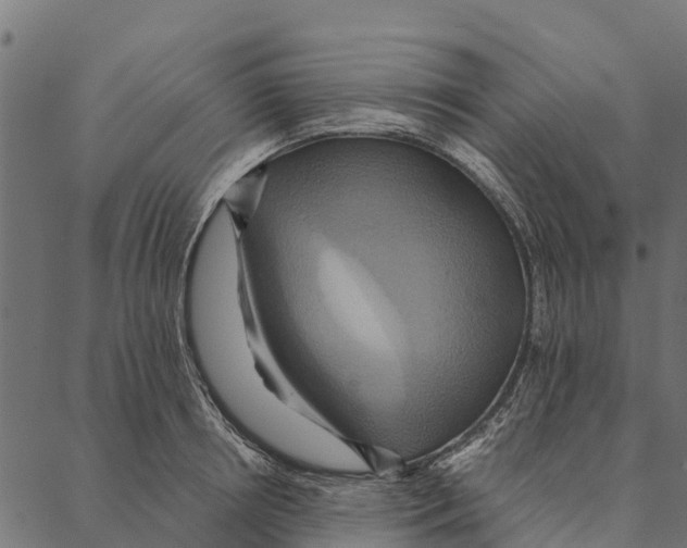 X0000087350850200705181124