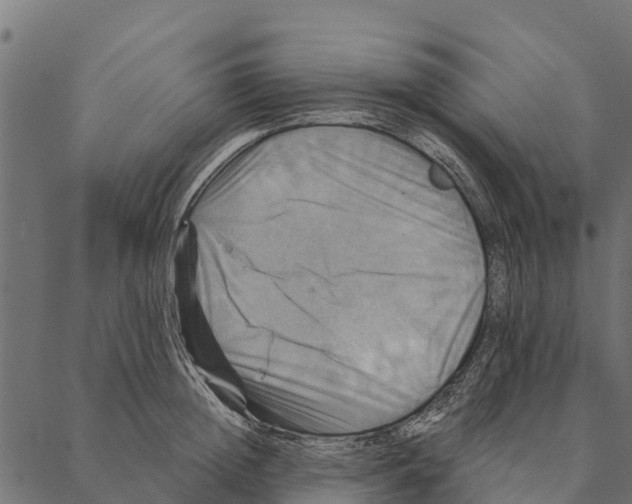 X0000087350852200705181124