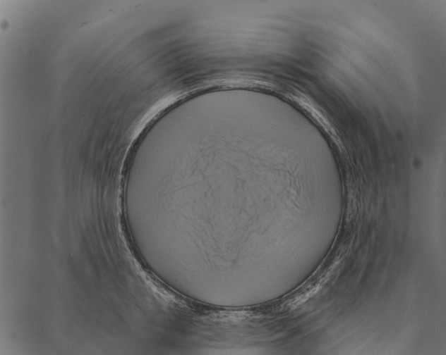 X0000087350853200705181124