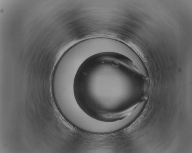 X0000087350854200705181124