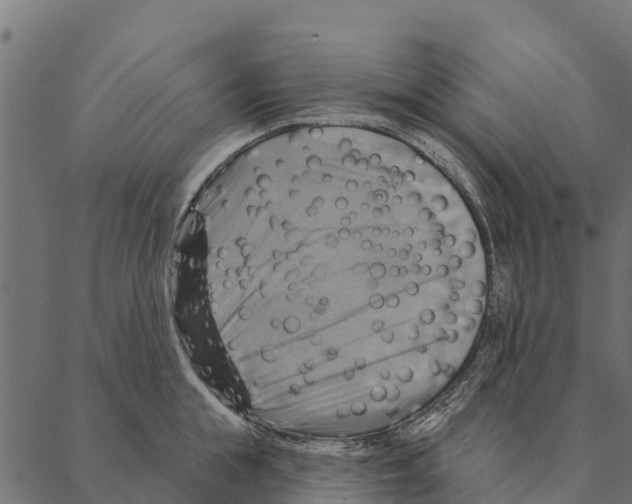 X0000087350855200705181124