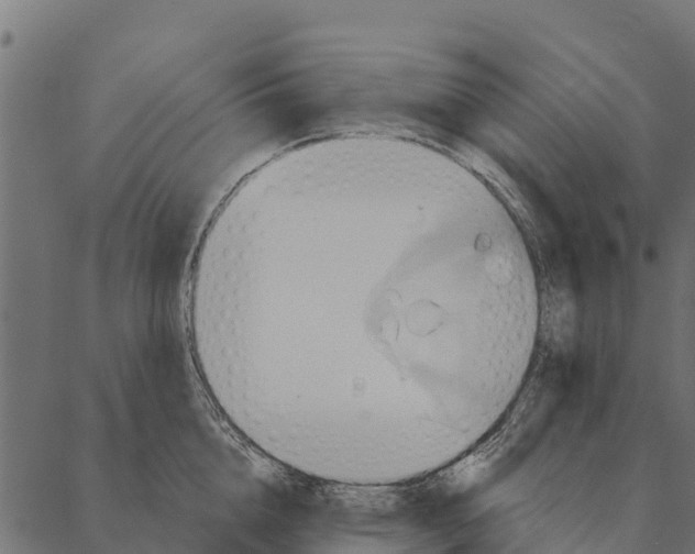 X0000087350856200705181124