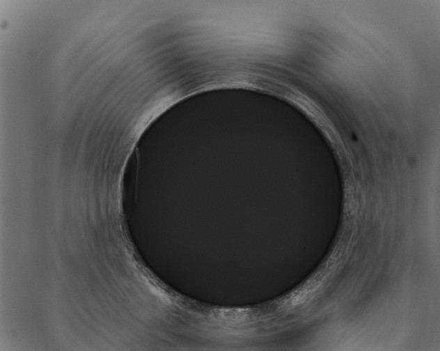 X0000087350858200705181125