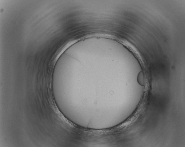 X0000087350860200705181125