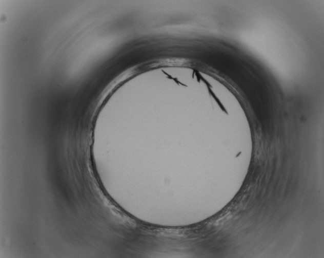 X0000087350861200705181125