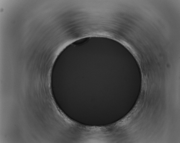 X0000087350862200705181125