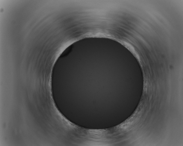 X0000087350863200705181125