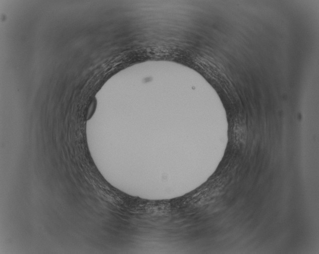 X0000087350865200705181124