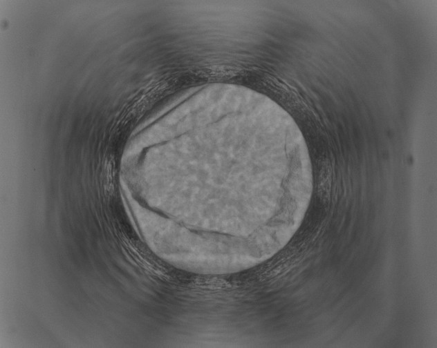 X0000087350866200705181124