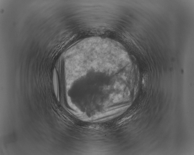 X0000087350867200705181124