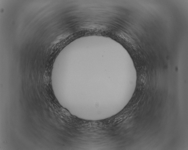 X0000087350869200705181124