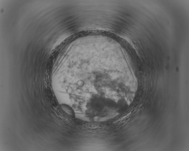 X0000087350871200705181124