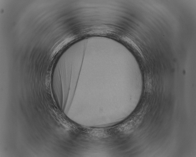 X0000087350874200705181124