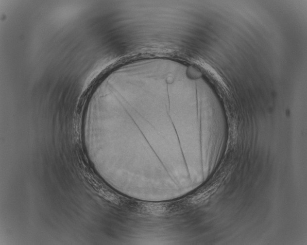 X0000087350878200705181124