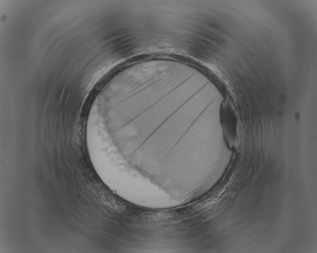 X0000087350879200705181124