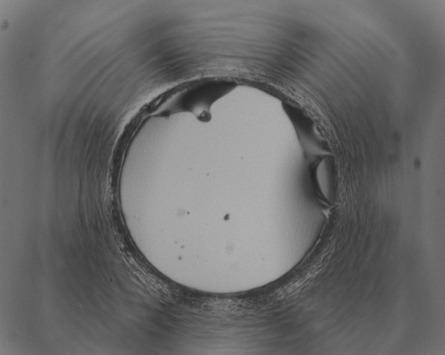 X0000087350880200705181124