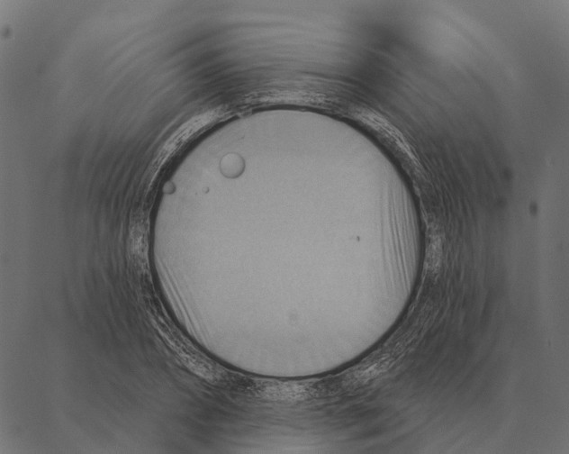 X0000087350882200705181124