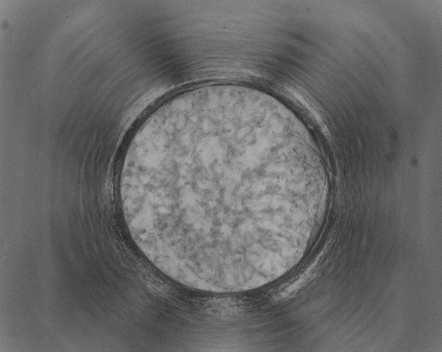 X0000087350883200705181124