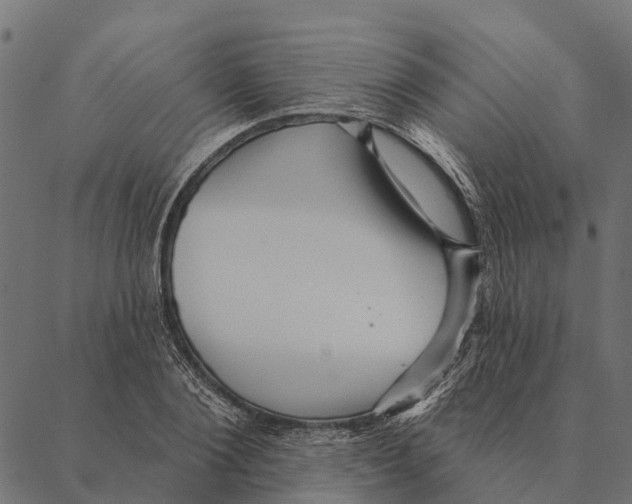 X0000087350884200705181124