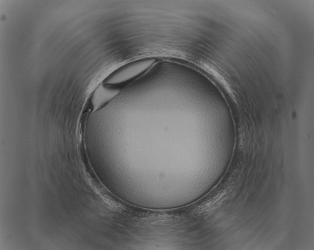 X0000087350885200705181124