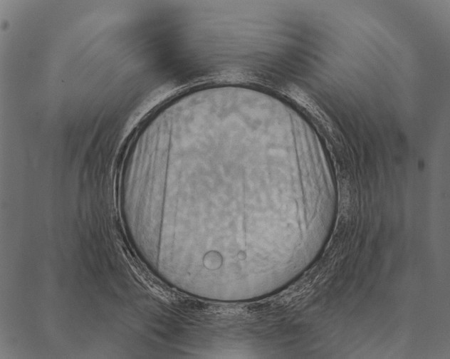 X0000087350886200705181124