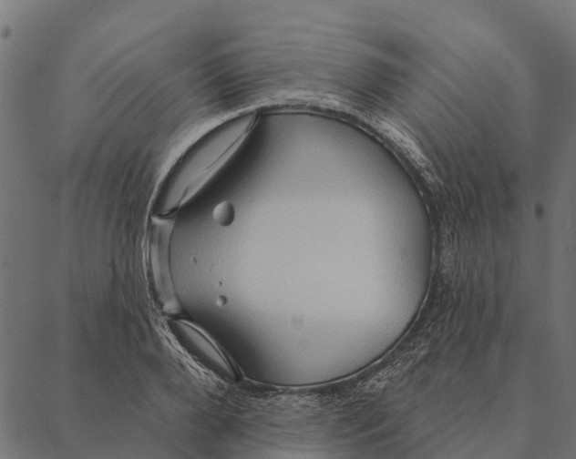 X0000087350888200705181123