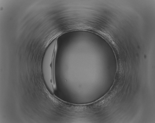 X0000087350889200705181123