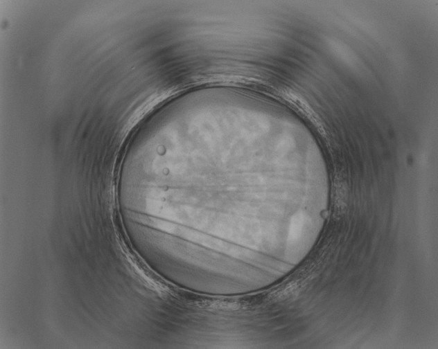 X0000087350890200705181123