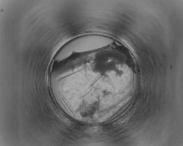 X0000087350891200705181123