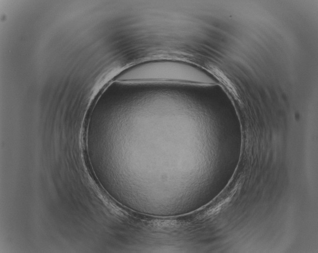 X0000087350893200705181123