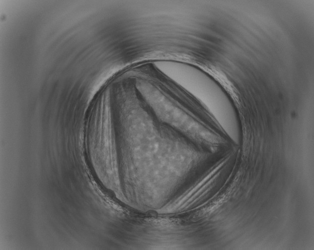 X0000087350896200705181123