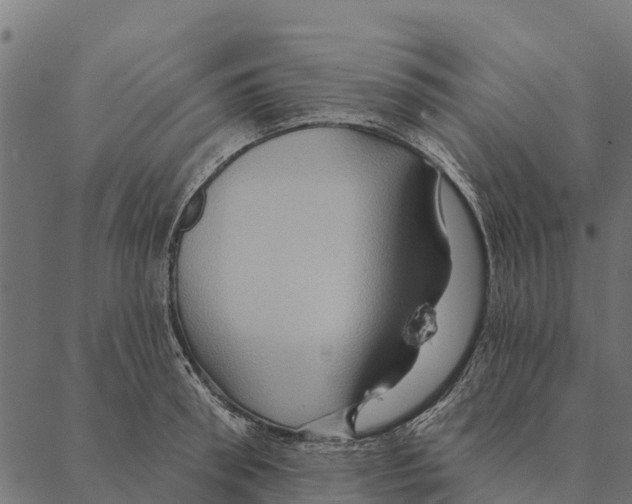 X0000087350898200705181123