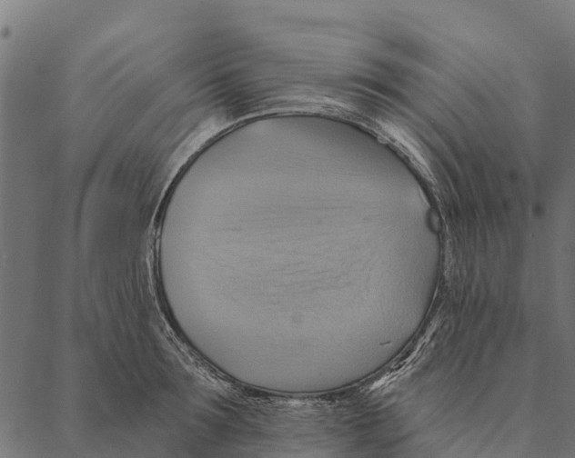 X0000087350899200705181123