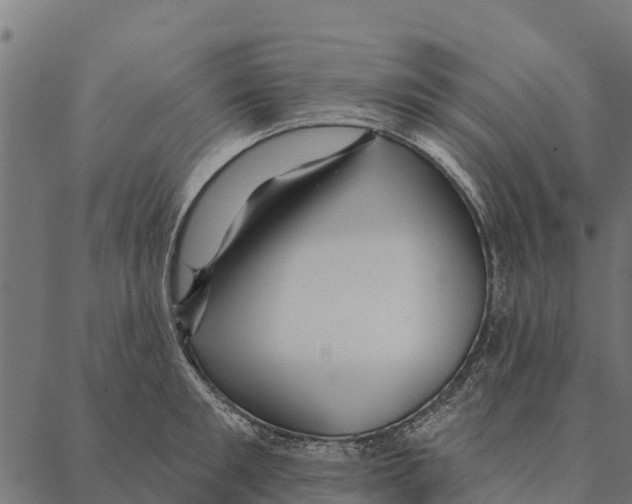 X0000087350901200705181123